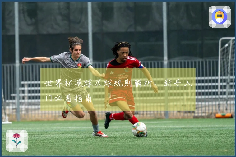 世界杯滚球买球规则解析，新手入门必看指南