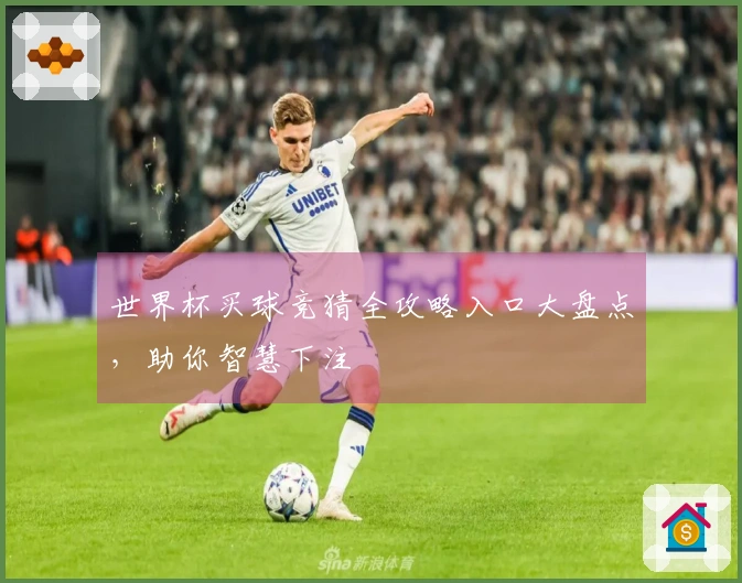 世界杯买球竞猜全攻略入口大盘点，助你智慧下注